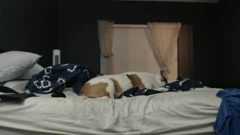 Snapshot of slimjp chatting on 02-07-26, 02:26 slimjp online show from 02-07-26, 02:26