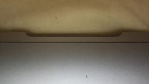 Snapshot of slimthick69couple chatting on 10-01-25, 04:13 slimthick69couple online show from 10-01-25, 04:13