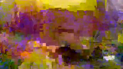 slip_inslide online show from 03-09-25, 06:11