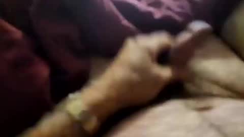 slitlicke69696969 online show from 09-21-25, 10:28