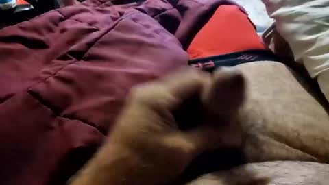 slitlicke69696969 online show from 10-20-25, 09:10