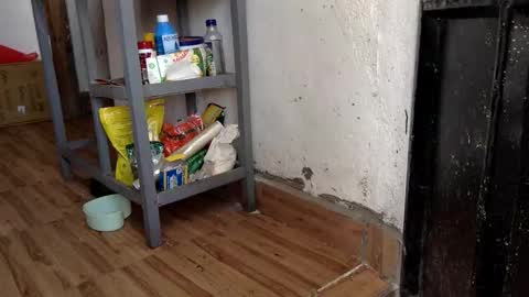 Skillibengisaadboy online show from 02-07-26, 07:23