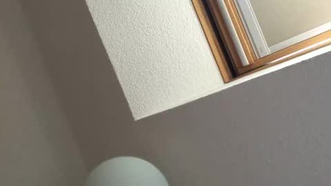 Bernd online show from 09-18-25, 02:30