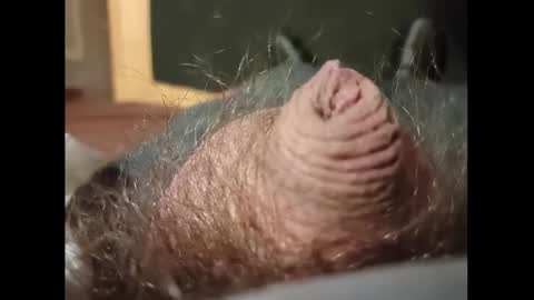 Snapshot of smallhairyuncut chatting on 01-27-25, 03:37 Small Hairy Uncut online show from 01-27-25, 03:37