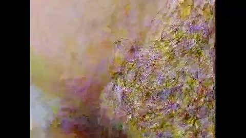 Snapshot of smallhairyuncut chatting on 02-26-25, 10:09 Small Hairy Uncut online show from 02-26-25, 10:09