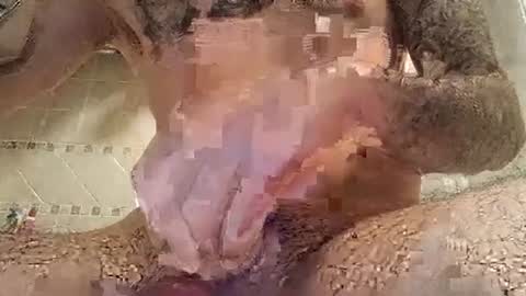 smallone8825 online show from 03-10-25, 06:27