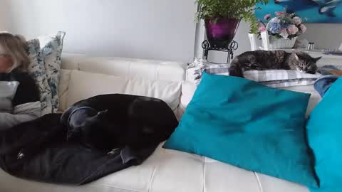 Daddy online show from 01-06-25, 05:16