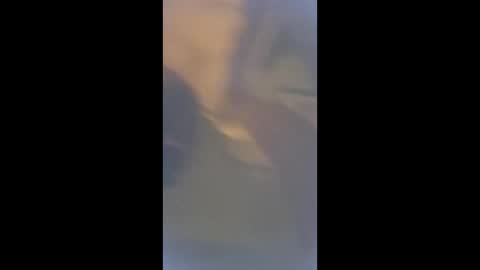 Snapshot of smcock68 chatting on 03-03-26, 11:21 smcock68 online show from 03-03-26, 11:21