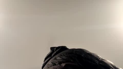 Snapshot of smokeymt420 chatting on 02-01-26, 04:05 smokeymt420 online show from 02-01-26, 04:05