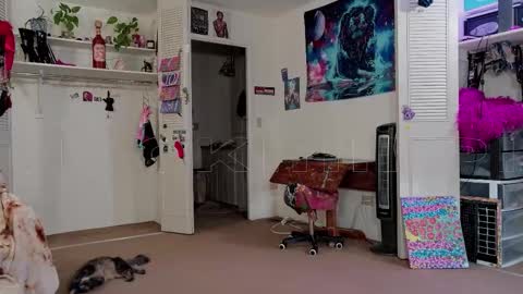 Big Dawg online show from 11-11-25, 02:39