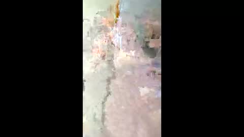 Snapshot of smyklops chatting on 01-08-26, 03:09 smyklops online show from 01-08-26, 03:09