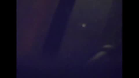 Mark online show from 01-15-25, 05:08