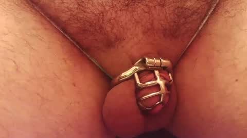 Snapshot of snakepit31 chatting on 10-05-25, 05:44 Sissy Boy online show from 10-05-25, 05:44