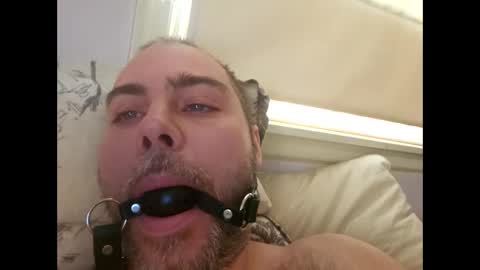 Snapshot of snarkymarks chatting on 12-17-25, 03:51 snarkymarks online show from 12-17-25, 03:51