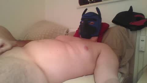 SoftPuppy online show from 01-12-26, 09:09