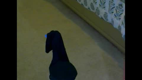 Snapshot of snizniz chatting on 12-02-24, 04:09 snizniz online show from 12-02-24, 04:09