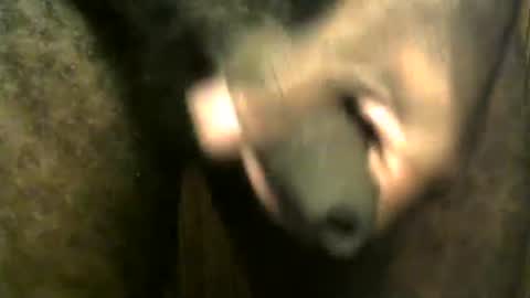 snkr1244 online show from 12-28-24, 07:55