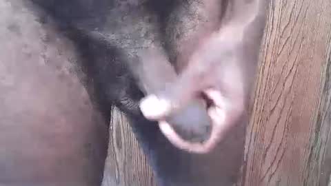 snkr1244 online show from 09-13-25, 06:29