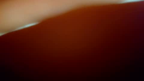 snopchat1234 online show from 02-02-26, 06:56