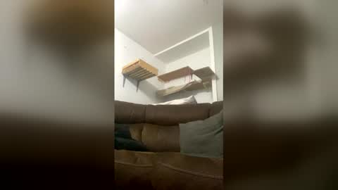 snowball5499 online show from 03-13-26, 01:01