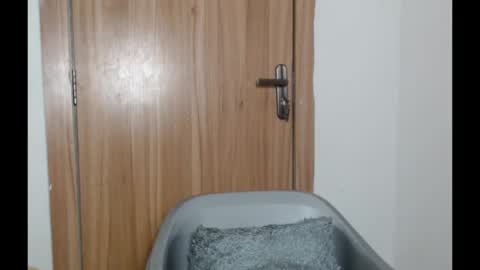 snowdrop5 online show from 01-31-25, 11:03