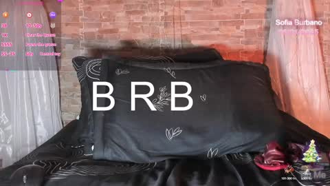 Snapshot of sofia_burbano chatting on 01-06-25, 05:59 Sofia Burbano online show from 01-06-25, 05:59