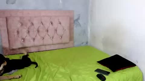 sofiadoll77 online show from 02-08-25, 09:03