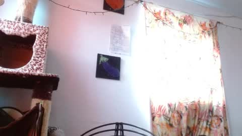 Snapshot of soka_lovers_04_ chatting on 01-06-26, 12:09 Sofia online show from 01-06-26, 12:09