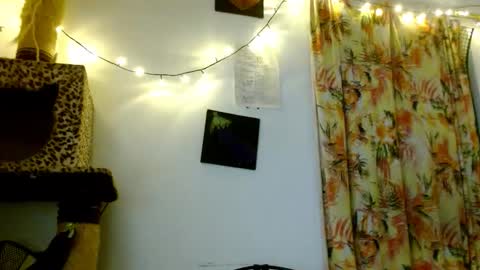 Snapshot of soka_lovers_04_ chatting on 02-19-26, 03:46 Sofia online show from 02-19-26, 03:46