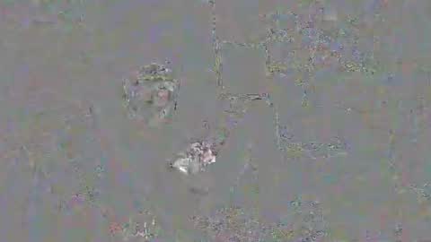 solilay online show from 03-29-26, 02:28