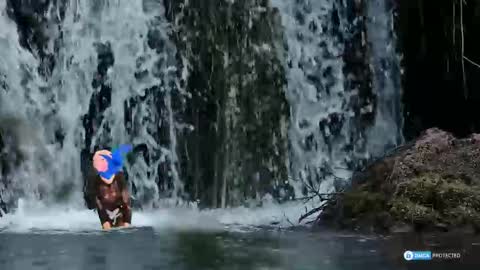 solisii online show from 11-01-25, 09:11