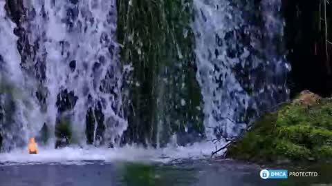 solisii online show from 11-08-25, 10:48