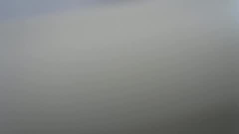 solitariodf2022 online show from 01-19-26, 03:38