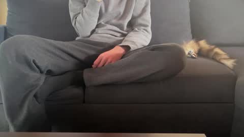 Sondages online show from 03-09-25, 10:41