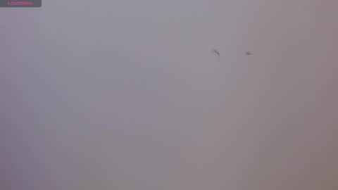 Sophie online show from 11-17-25, 08:25