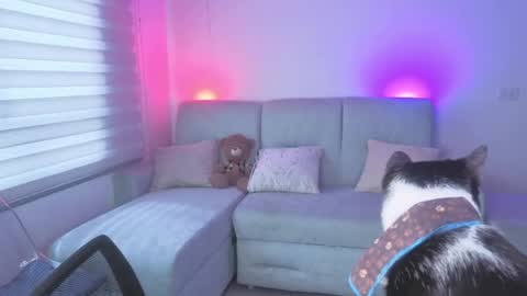 Snapshot of sophie_bbs chatting on 05-25-26, 03:18 Sophie online show from 05-25-26, 03:18
