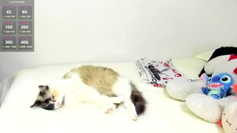 sophiebaker__ online show from 09-20-25, 01:50