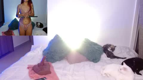 Snapshot of soysilvanna_ chatting on 02-23-26, 11:46 online show from 02-23-26, 11:46