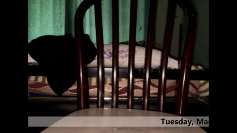 space Dog25 online show from 03-03-26, 05:24