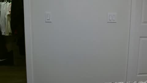 specialiest online show from 01-12-26, 06:13