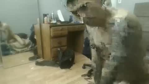 Snapshot of speedfreekeespun chatting on 02-25-25, 07:14 speedfreekeespun online show from 02-25-25, 07:14