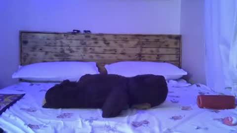 Snapshot of splasher_queen chatting on 10-25-25, 11:29 Splasher online show from 10-25-25, 11:29