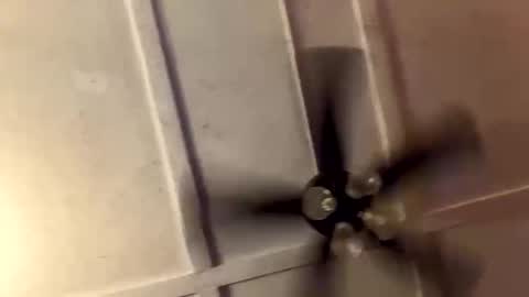 squirtonthisd6 online show from 03-30-26, 01:06