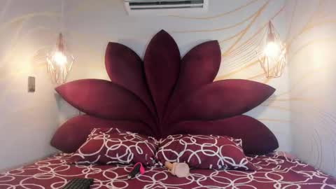 Snapshot of staar_hot chatting on 02-19-26, 12:23 STAAR HOT online show from 02-19-26, 12:23