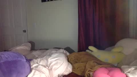 Dianaseshh online show from 11-29-25, 04:15