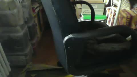 Snapshot of stalloneumbro chatting on 01-21-25, 08:52 CIPPALIPPA online show from 01-21-25, 08:52