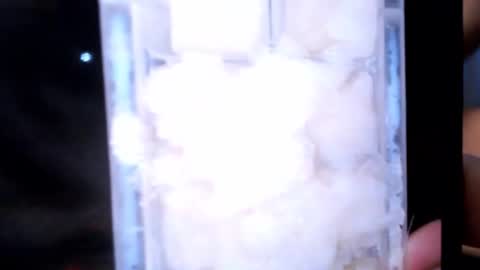 stealth1337 online show from 03-02-26, 02:24