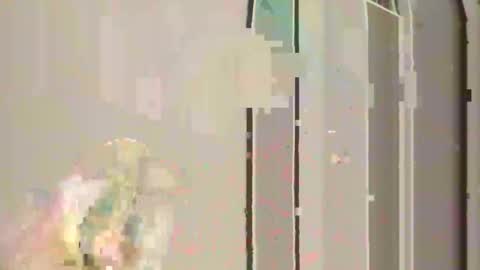 Snapshot of steedmont chatting on 11-30-25, 11:31 steedmont online show from 11-30-25, 11:31