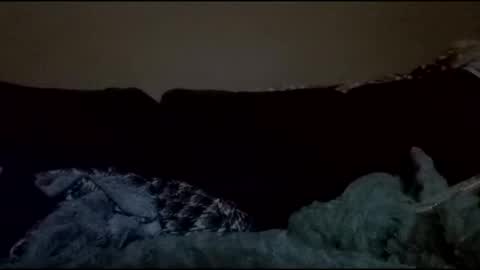 stefy1037 online show from 04-18-26, 04:38