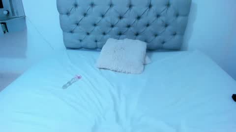 steicy_lan online show from 02-05-25, 09:29